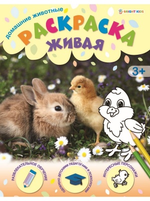 Раскраска А4 Домашние животные 8л, скрепка,