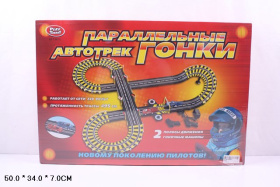 Автотрек 220 вольт