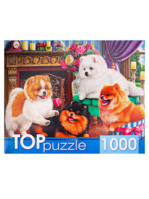 TOPpuzzle. Пазлы 1000 эл. "Игривые шпицы"