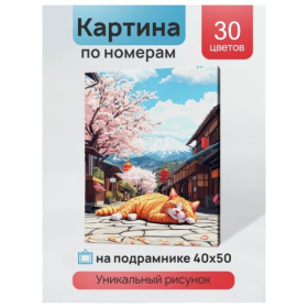 Холст с красками 40x50 см по номерам (в коробке) (30 цв.) Котик на солнышке