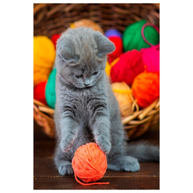 Алмаз мозаика (класс.) 17х22 см, с подр.,с полным заполн.(21цв) Котёнок играет с клубком