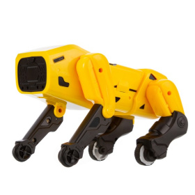 Робопёс Барри "Beboy" на пульте радиоуправления