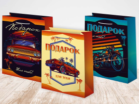 Пакет подарочный 18-23 лам.матовый микс (12 шт в наборе) Мужская