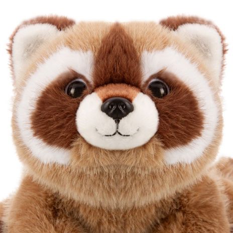 Енот бежевый, 25 см