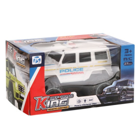 Машинка на пульте радиоуправления, с паром, в ассортименте