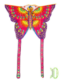 Воздушный змей Воздушный змей